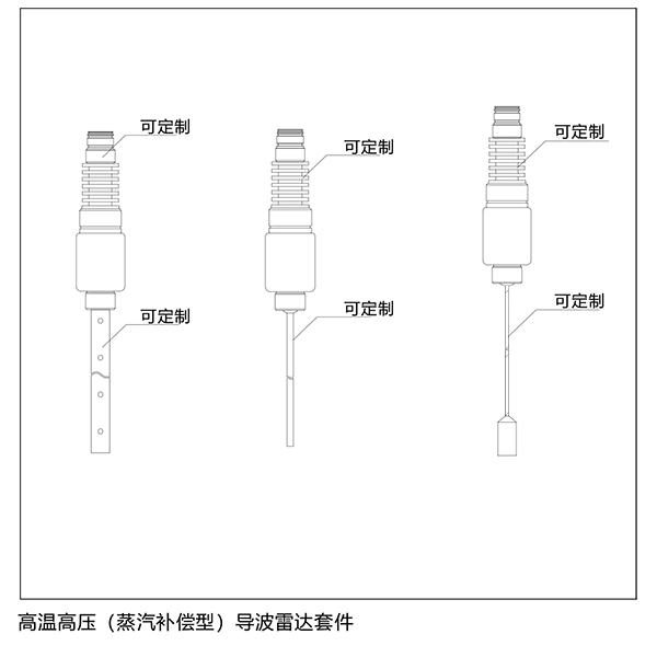高溫高壓導波雷達液位計尺寸圖