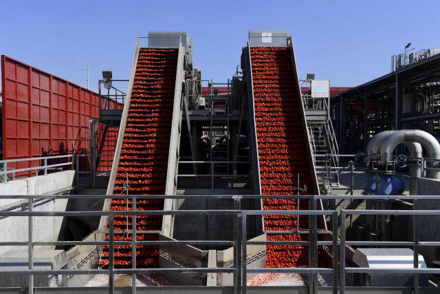 番茄醬生產雷達液位測量過程